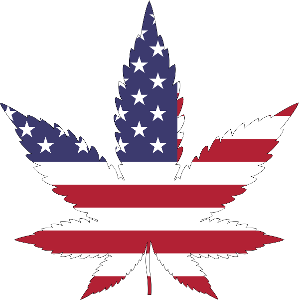 American flag graphic in the shape of a marijuana leaf